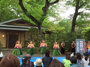 須賀川牡丹園祭り